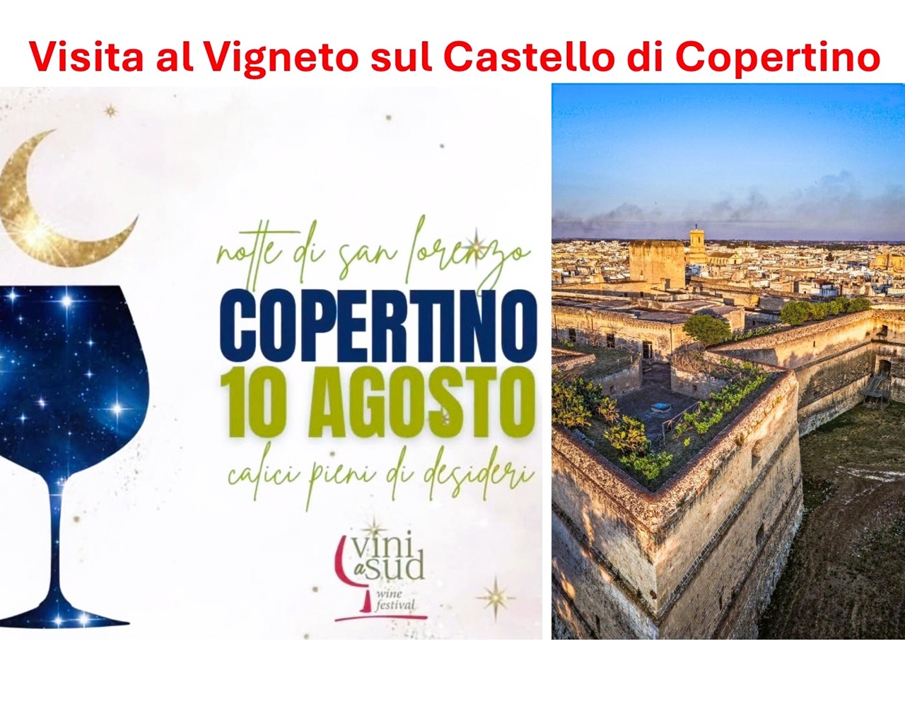 Visita al Vigneto sul Castello di Copertino 