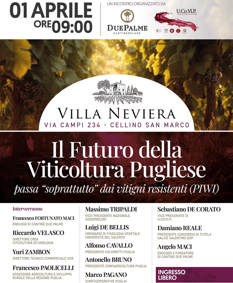 Il futuro della viticoltura pugliese