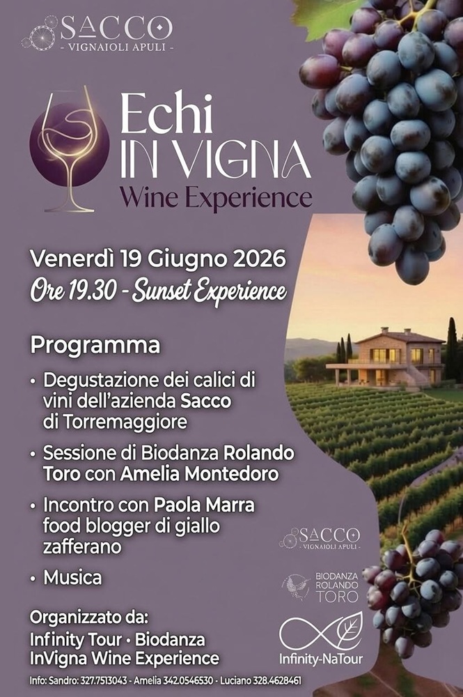 Echi in Vigna. Wine experience