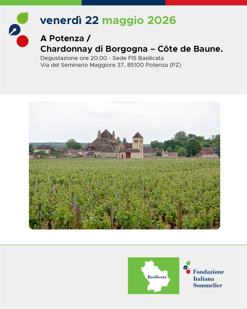 Chardonnay di Borgogna - Côte de Baune