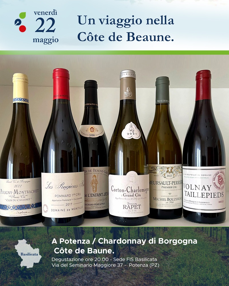 Chardonnay di Borgogna - Côte de Baune