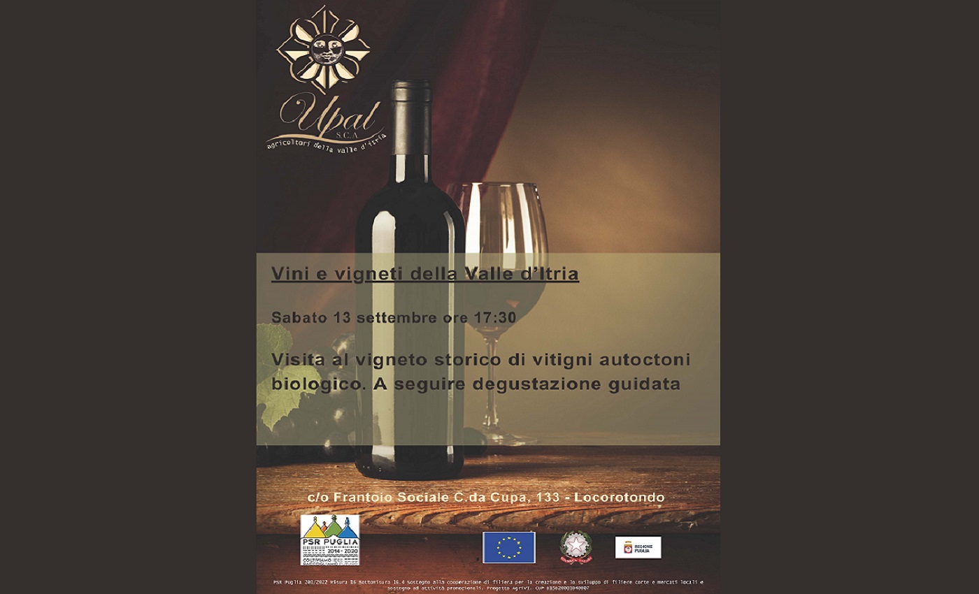 Vini e vigneti della Valle d’Itria