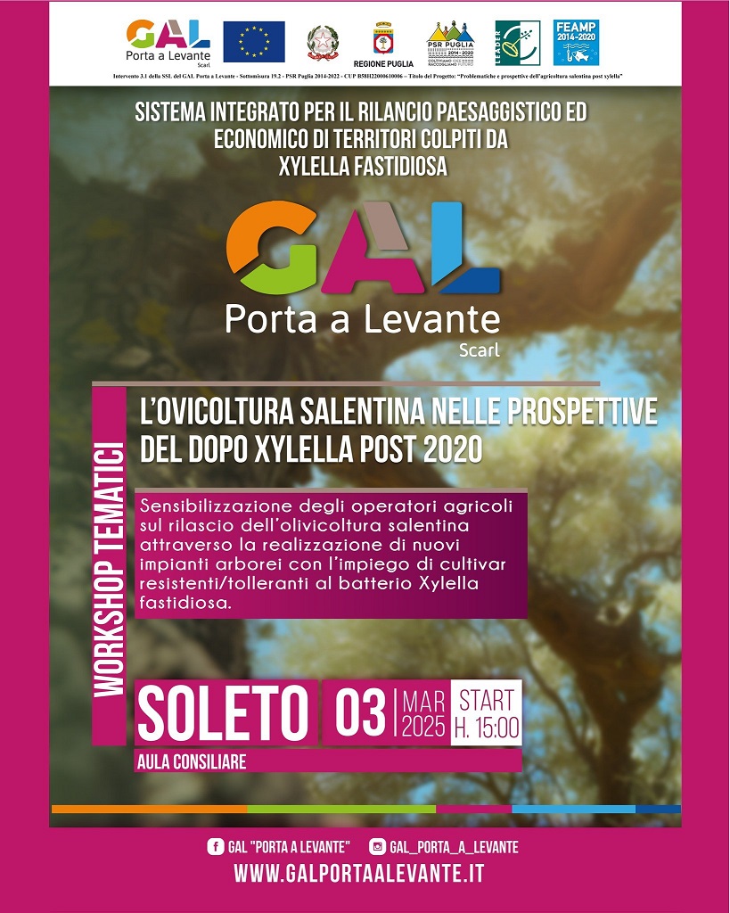 gallevante3mar