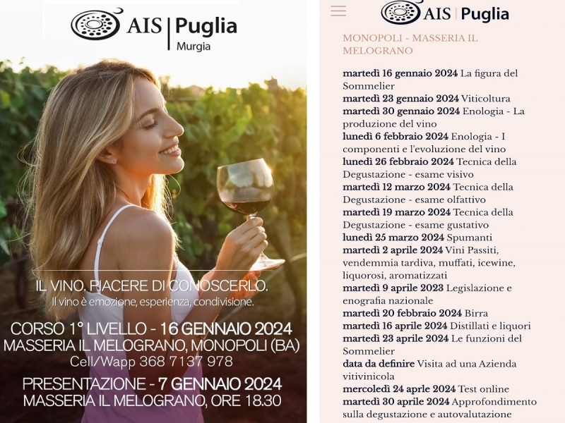 aismurgia-7gen