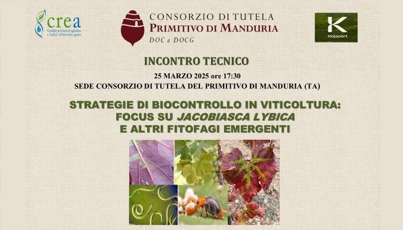 consorziomanduriaor-25mar25