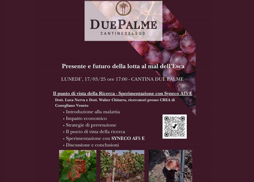 duepalme-17marzo25