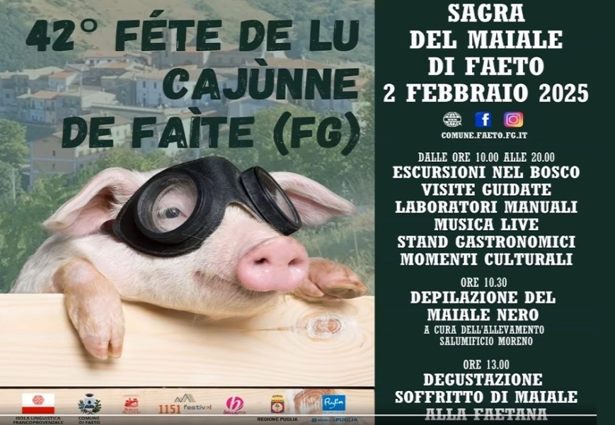 faeto-2feb25