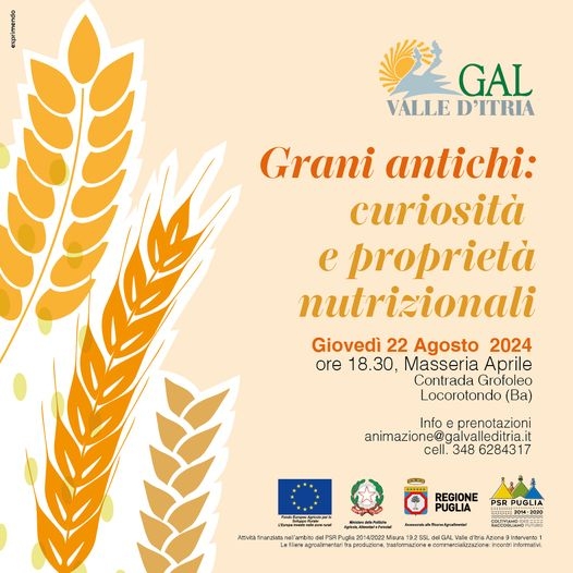 galvalleditria-22ago24
