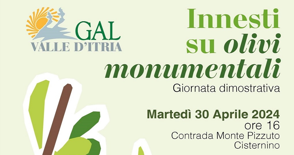 galvalleditria2-30apr