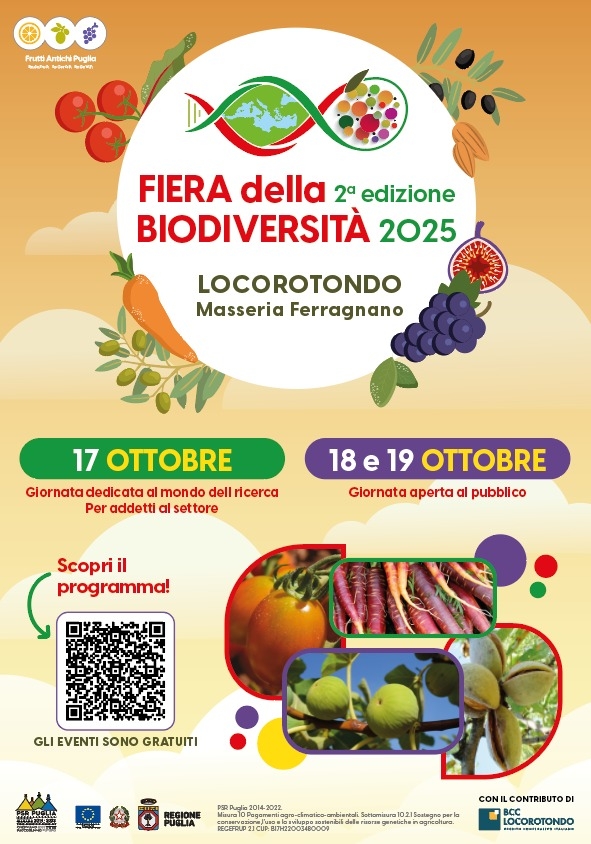 locorotondo-fiera-18ott25