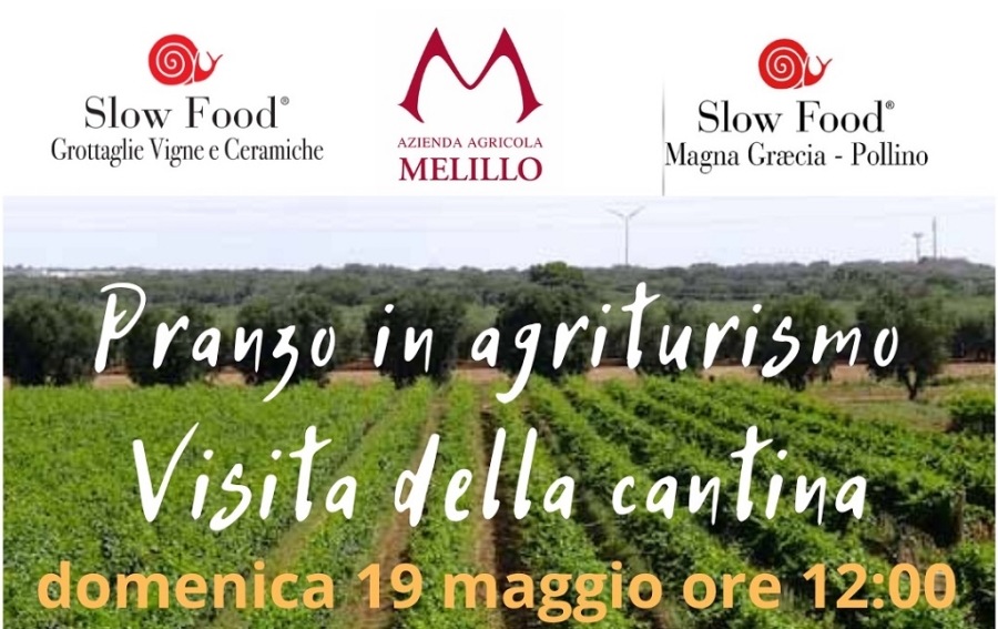 melillo-19mag