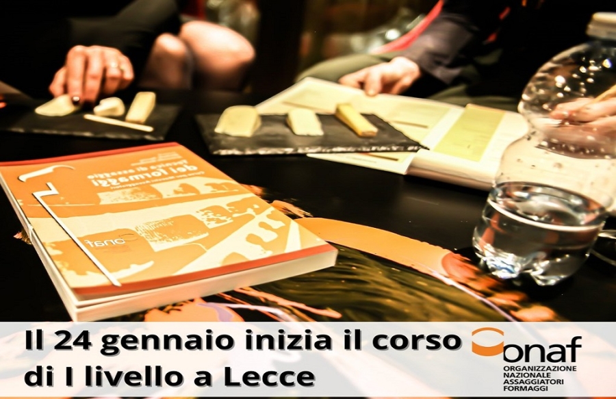 onaflecce-24gen