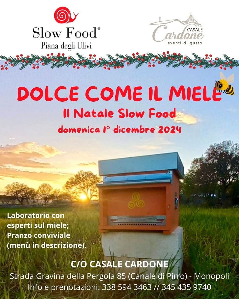 pianadegliulivi-1dic24