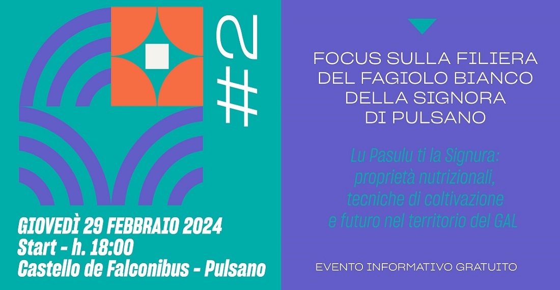 pulsano-29feb