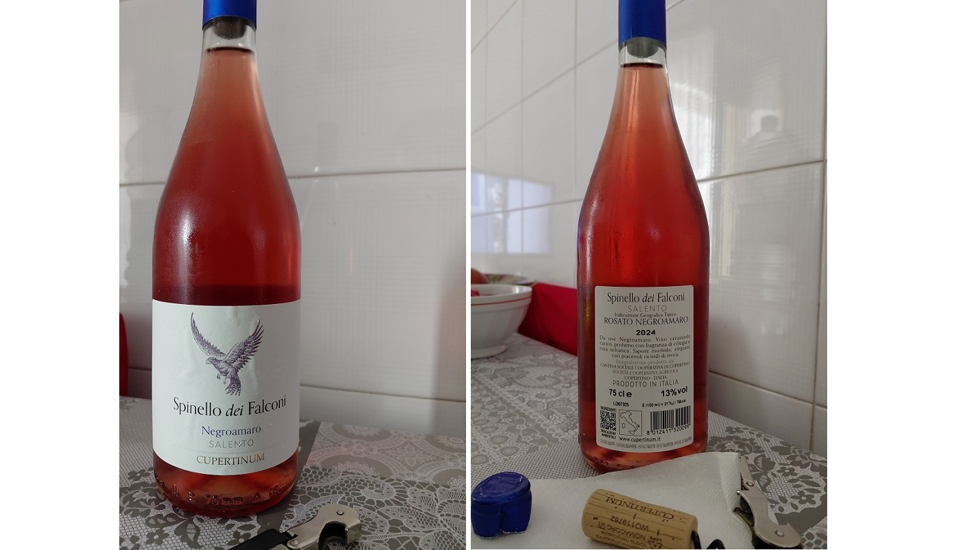Lo Spinello dei Falconi è TopWine per SlowWine 2026